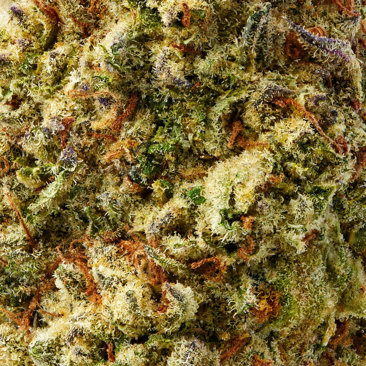 Maui Wowie Bulk