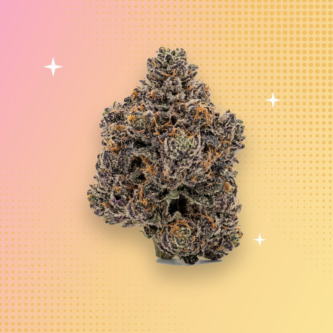 Gary Payton THCA flower