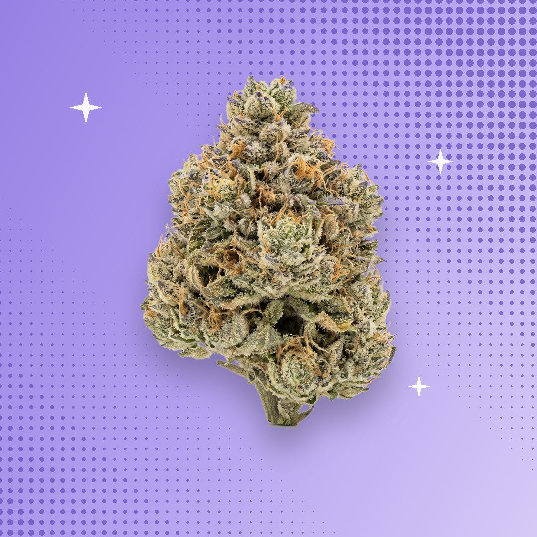 Granddaddy Purple THCA flower