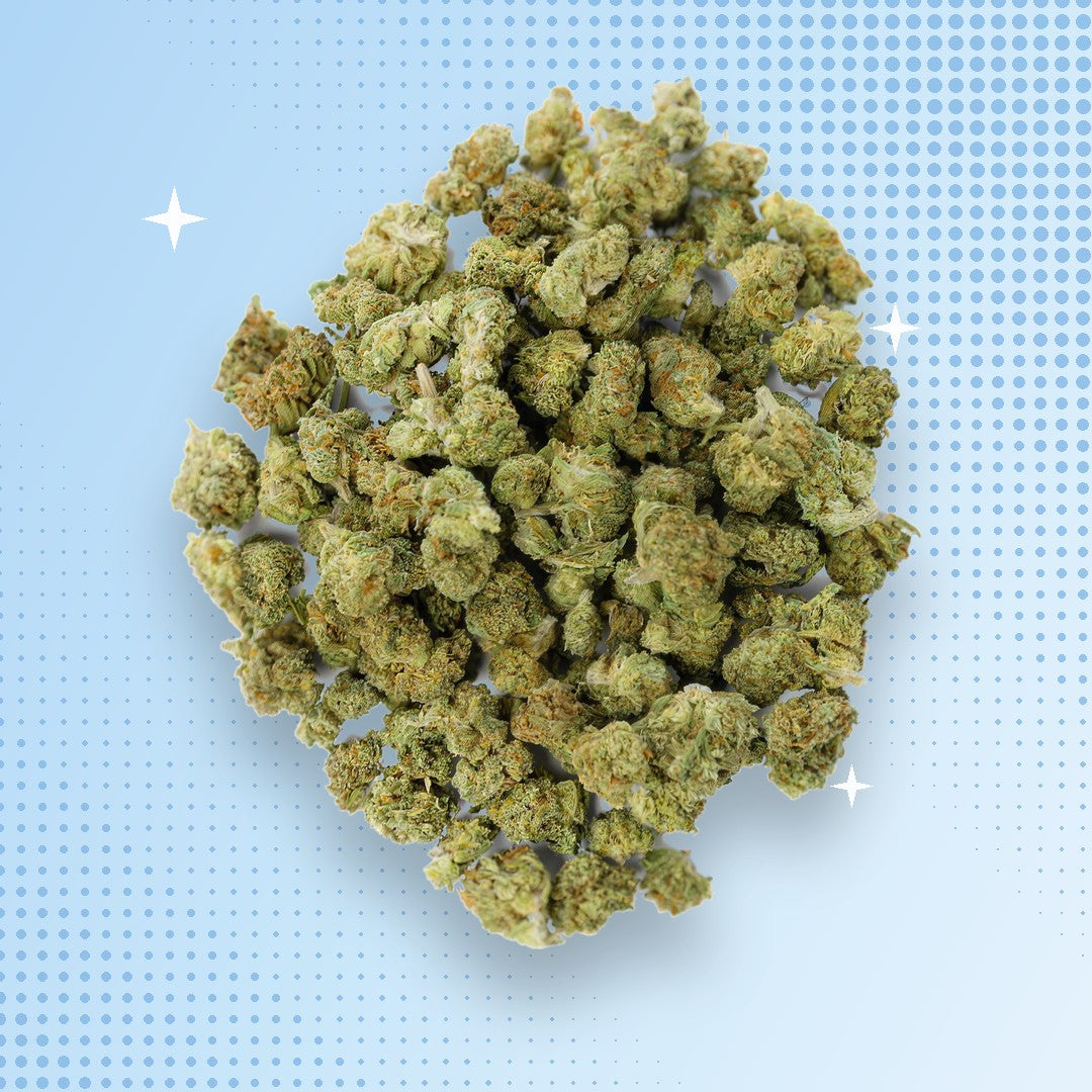 Jack Herer THCA flower
