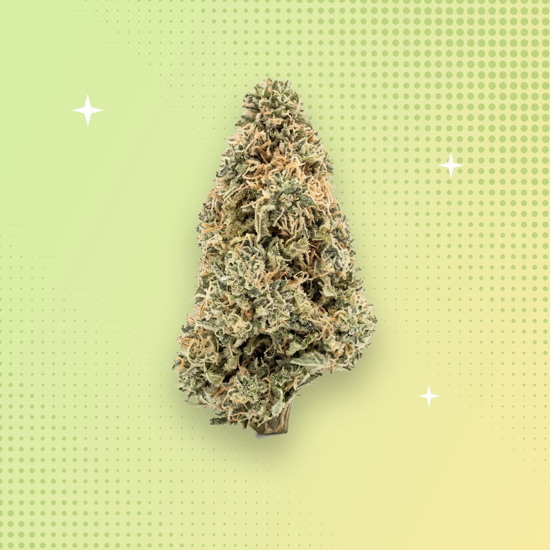 Sun Drift THCA flower