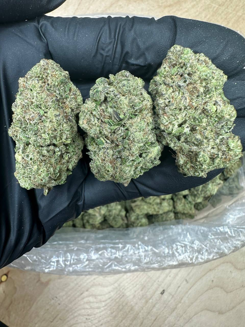 Super Lemon Haze bud in a gloved hand