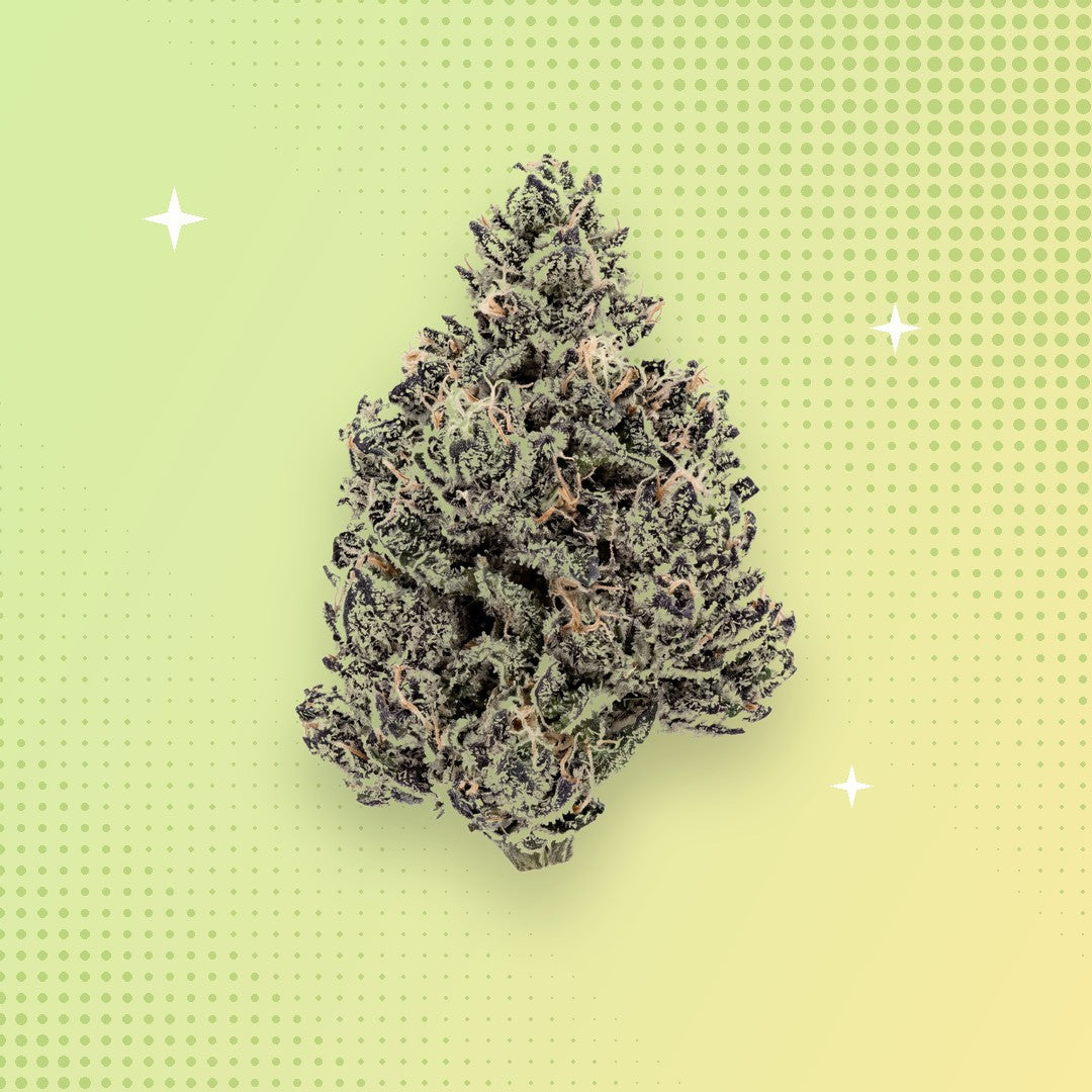 White Widow THCA flower