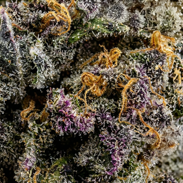 LA Confidential
