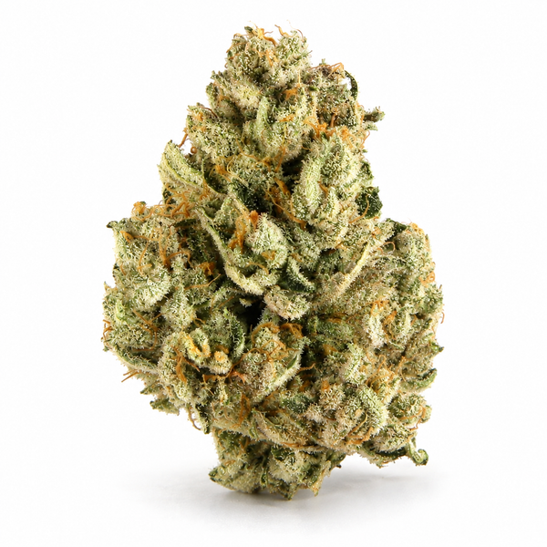 Papaya OG
