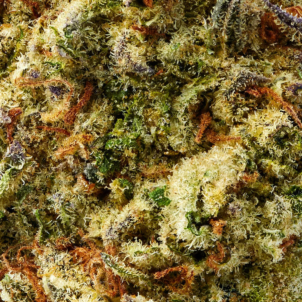 Strawberry Cough Bulk