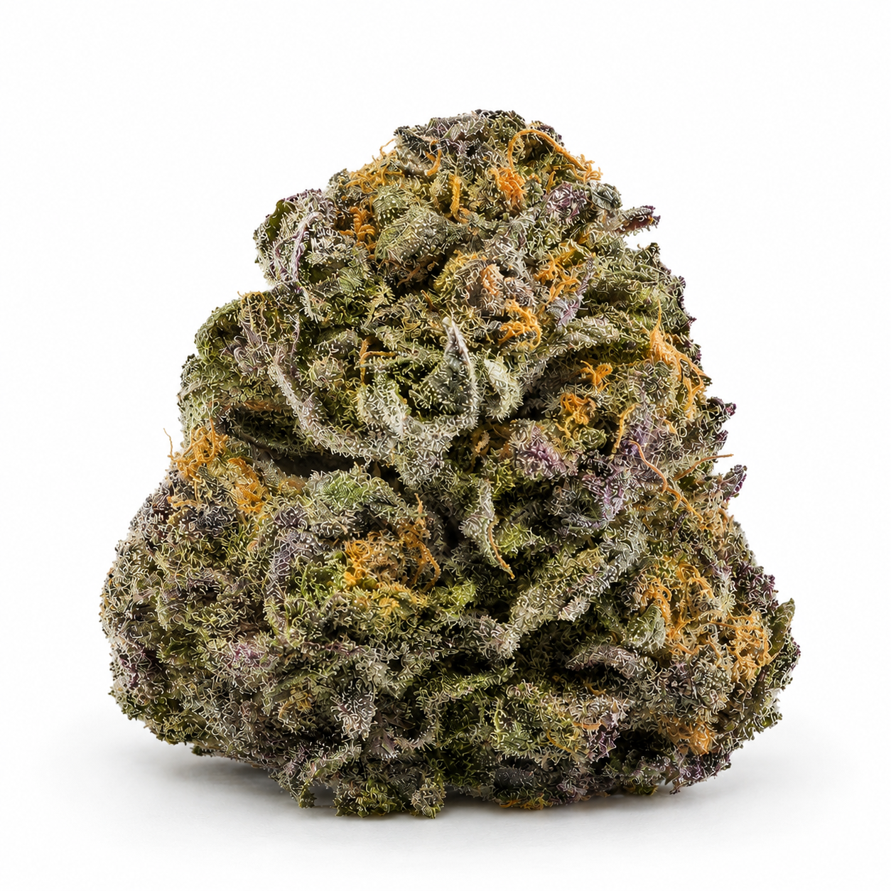 Purple Kush