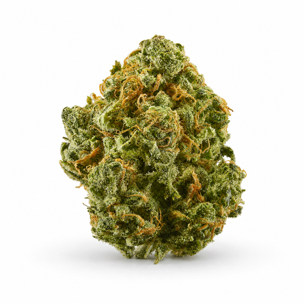 White Widow