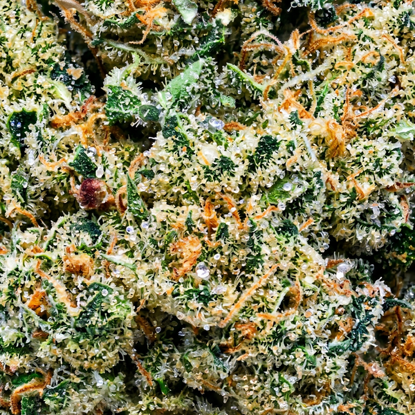 Acapulco Gold