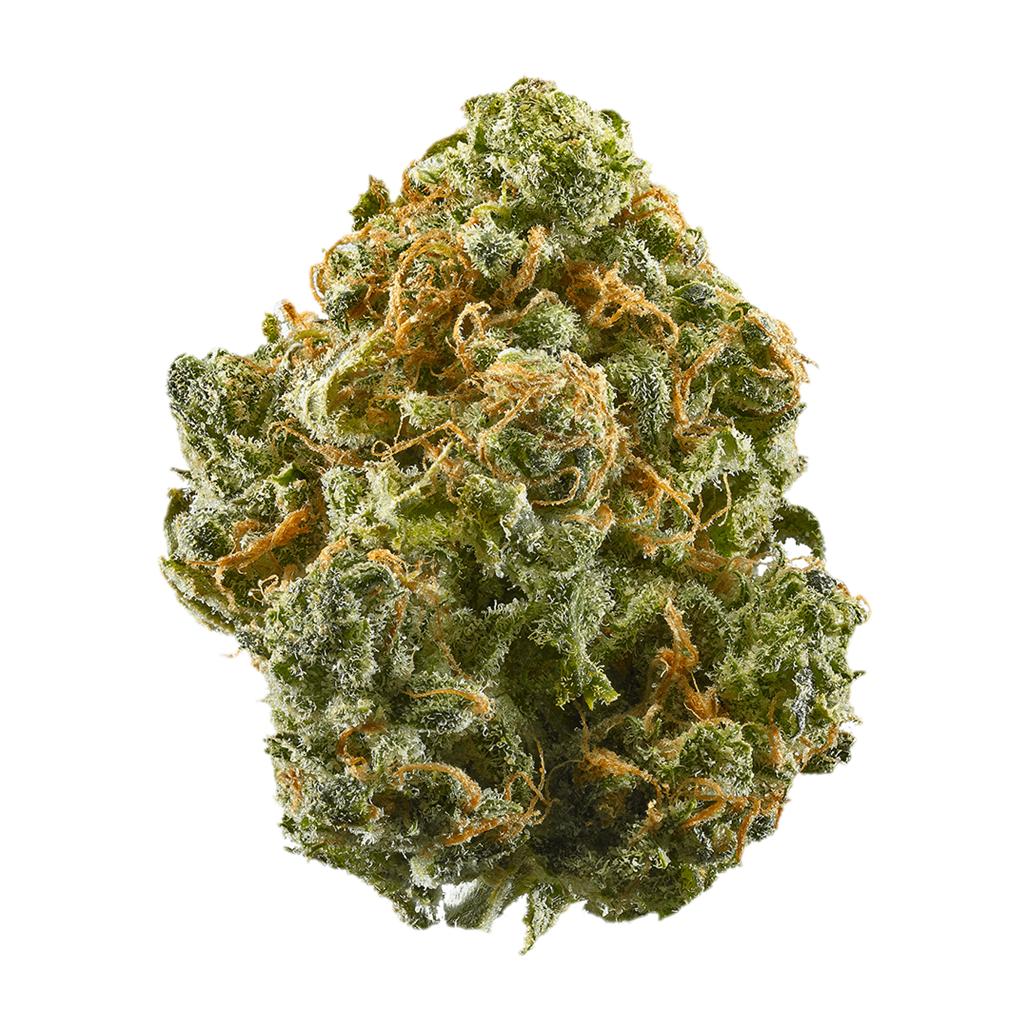 Blue Dream Bulk