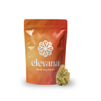 Chemdawg
