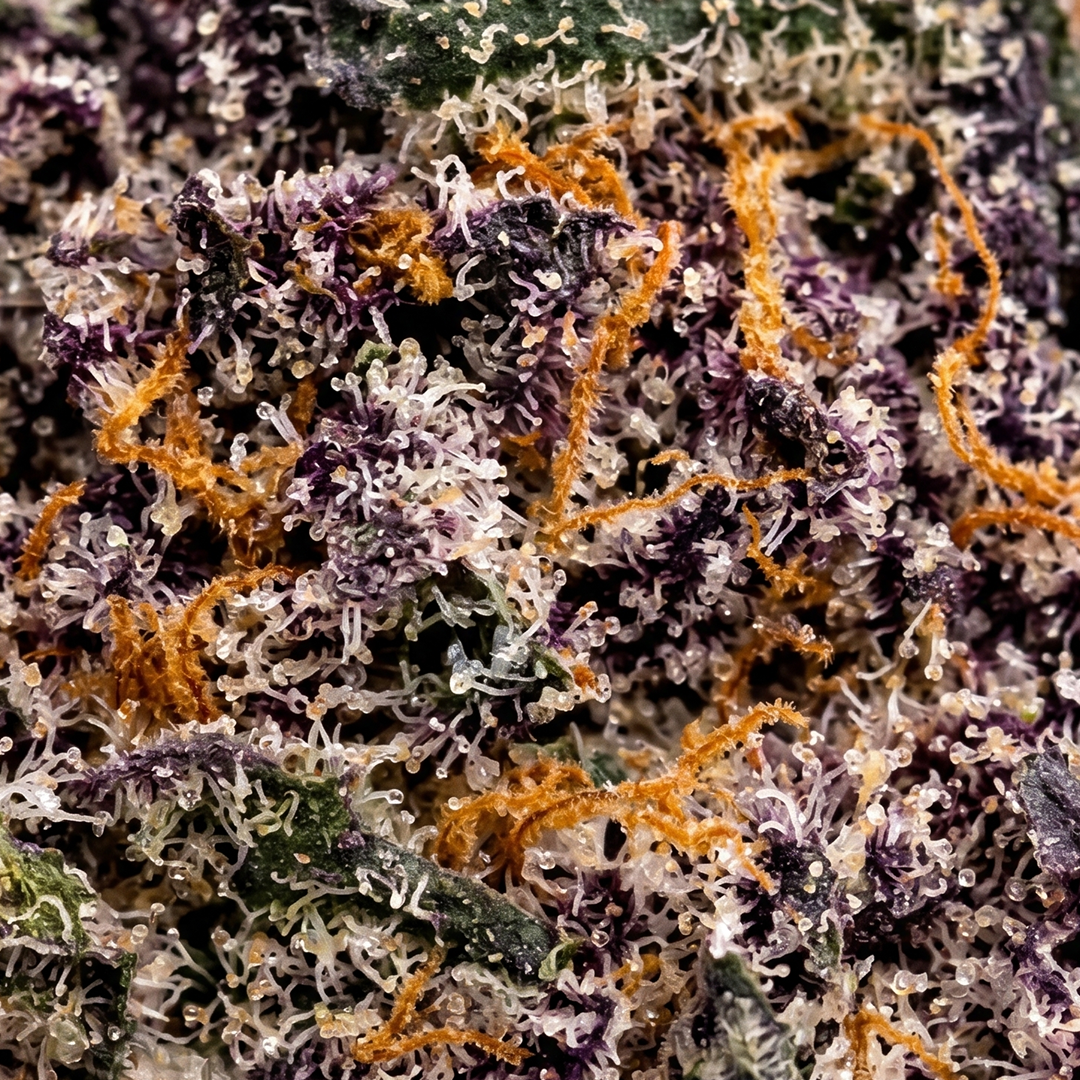 Granddaddy Purple