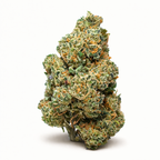 Acapulco Gold