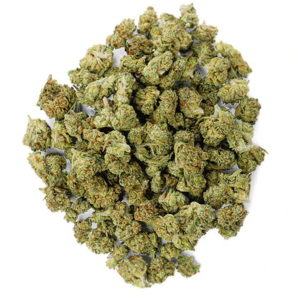 Sativa-Jack Herer (Smalls)