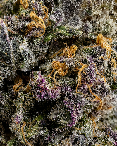 LA Confidential
