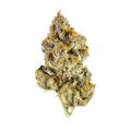Lemon Cherry Gelato Bulk