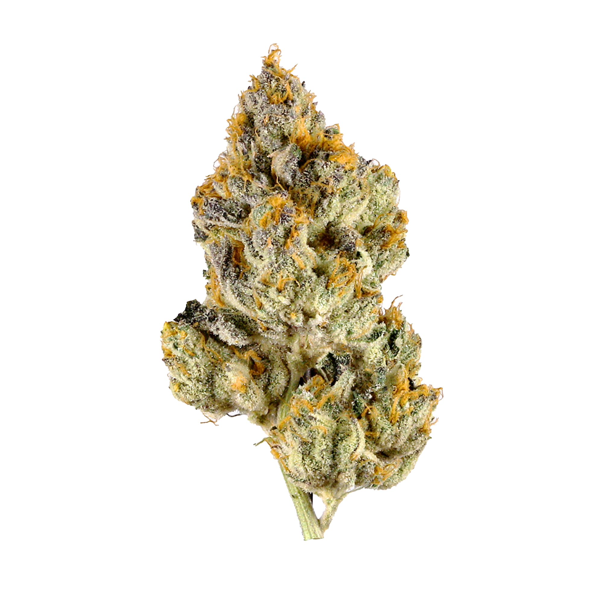 Lemon Cherry Gelato Bulk
