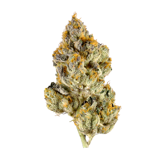 Lemon Cherry Gelato