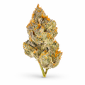 Lemon Cherry Gelato