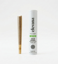 Pre-Roll Sour Diesel