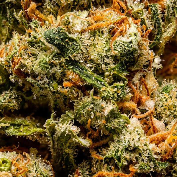 Super Lemon Haze