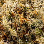 Strawberry Cough Bulk