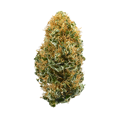 White Widow