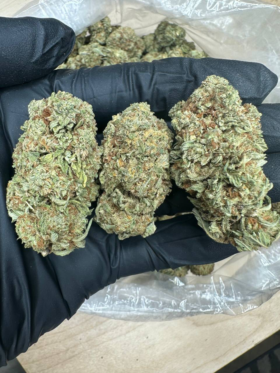 Chemdawg bud in a gloved hand