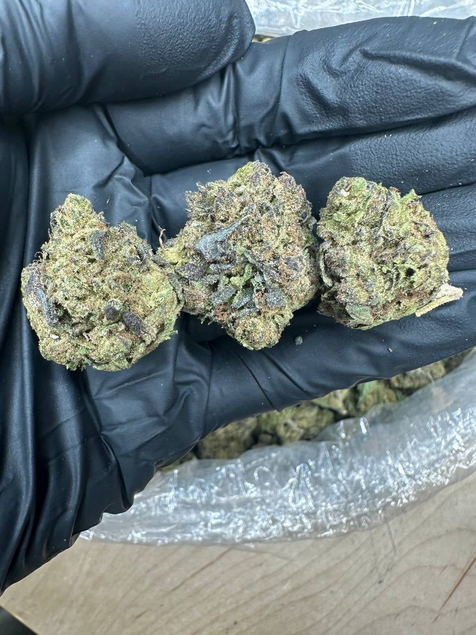 Gary Payton bud in a gloved hand