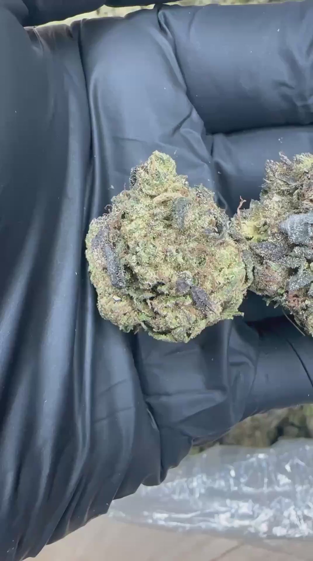 Gary Payton close-up video