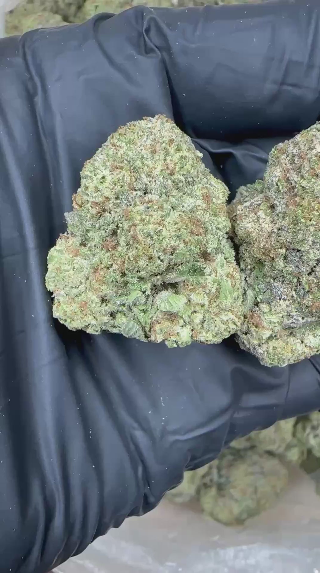 Girl Scout Cookies close-up video