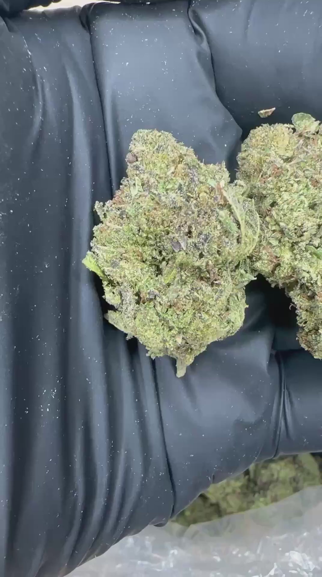 LA Confidential close-up video