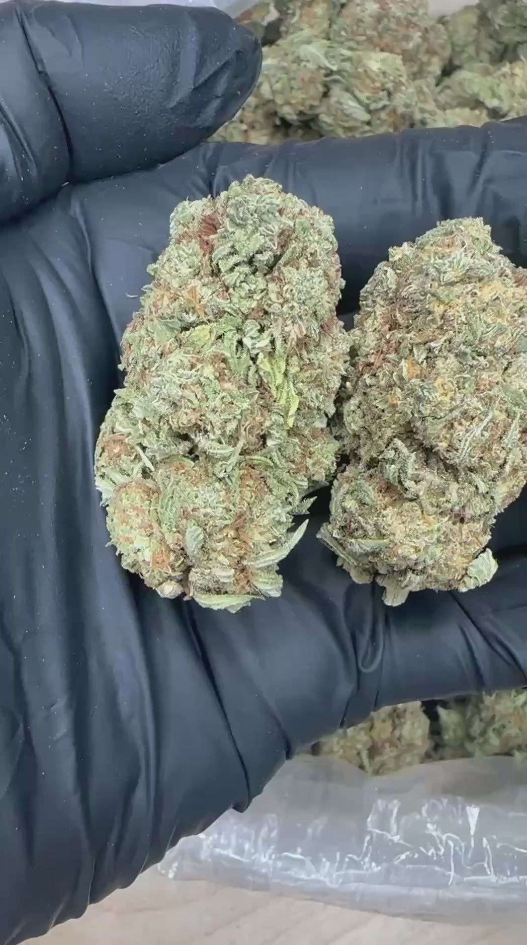 Chemdawg close-up video