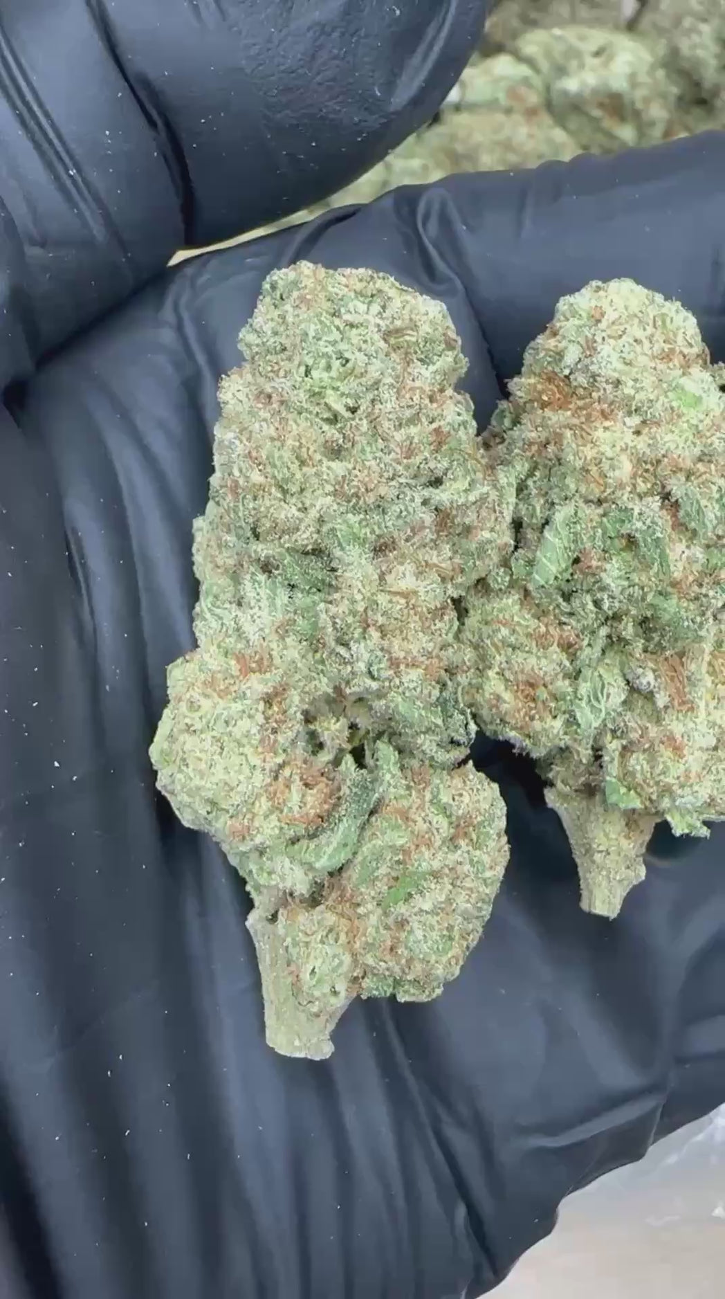 MAC 1 close-up video