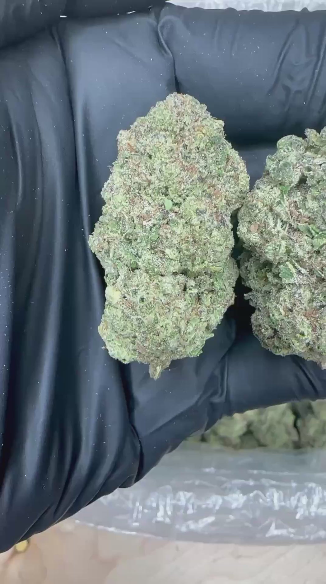 Super Lemon Haze close-up video