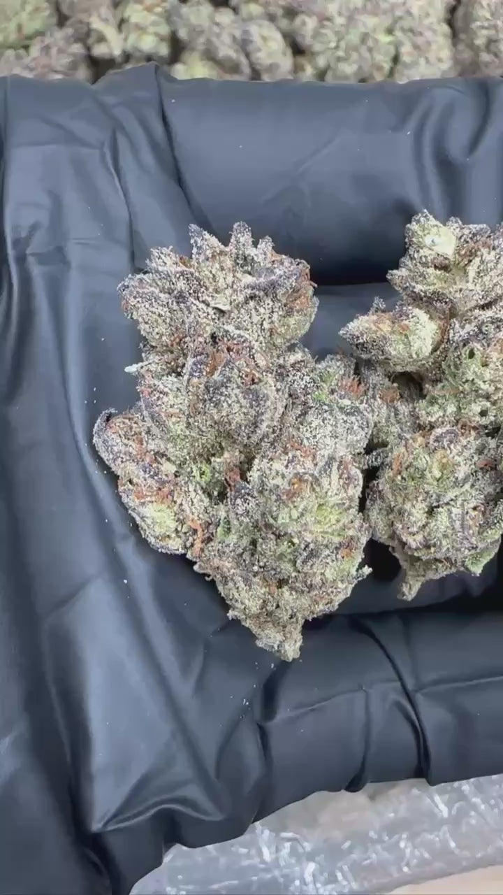 White Widow close-up video
