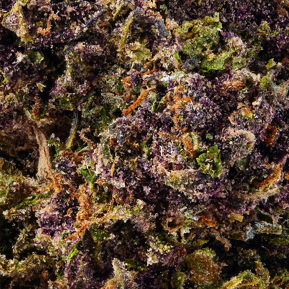 Purple Kush Bulk