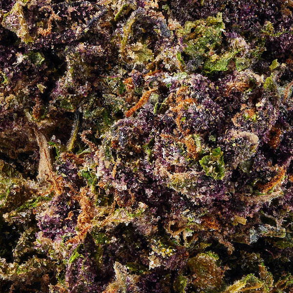Purple Kush